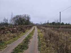 ĳ����� 10 ����� �� ������� ������� 44� (2693736) ���� 6