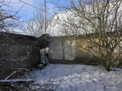 Ділянка 60 соток з старою хатинкою с.Катеринівка фото 5 Ділянка 60 соток з старою хатинкою с.Катеринівка фото 5