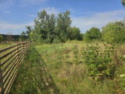 Продаж ділянки 10 соток на Богунії (26144535) фото 7 Продаж ділянки 10 соток на Богунії (26144535) фото 7