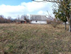   .,  +25   (26141860)  9