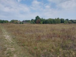 Продається ділянка Житомирська, Житомирський, Березівка, під лісом фото 11 Продається ділянка Житомирська, Житомирський, Березівка, під лісом фото 11