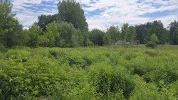 Продається ділянка с.Левків з асфальтованим під'їздом фото 4 Продається ділянка с.Левків з асфальтованим під'їздом фото 4