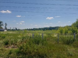 Продається ділянка Житомирська, Житомирський, Млинище, Люби Кучер фото 10 Продається ділянка Житомирська, Житомирський, Млинище, Люби Кучер фото 10