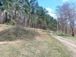 Продається ділянка Житомирська, Житомир, Паперова ф-ка, Слобідська вул. р-н фото 5 Продається ділянка Житомирська, Житомир, Паперова ф-ка, Слобідська вул. р-н фото 5