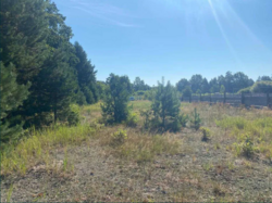 ��������� ������ �����������, ������������, ������ ���� 6