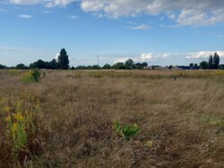 Ділянка на початку с.Вереси (26135505) фото 6 Ділянка на початку с.Вереси (26135505) фото 6