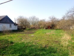 ĳ 17      (26142330)  6