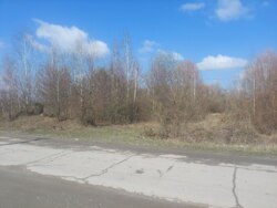   ., 25    (26141862)  1