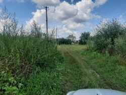 Продаж ділянки 24,6 сот. в с.Двірець поряд з озером. фото 5 Продаж ділянки 24,6 сот. в с.Двірець поряд з озером. фото 5