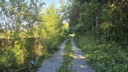 ĳ          (26142819)  26