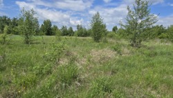 Продаж ділянки 15 соток с.Іванівка фото 4 Продаж ділянки 15 соток с.Іванівка фото 4