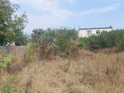 Продається ділянка Житомирська, Житомир, Богунія, Соснова фото 6 Продається ділянка Житомирська, Житомир, Богунія, Соснова фото 6