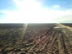 Продається ділянка Житомирська, Житомирський, Кам'янка фото 6 Продається ділянка Житомирська, Житомирський, Кам'янка фото 6