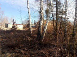 Продається ділянка Житомирська, Житомирський, Дениші фото 2 Продається ділянка Житомирська, Житомирський, Дениші фото 2