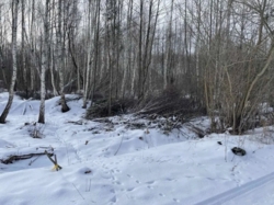 Продається ділянка Незалежності, Пряжів, Житомирський, Житомирська фото 6 Продається ділянка Незалежності, Пряжів, Житомирський, Житомирська фото 6