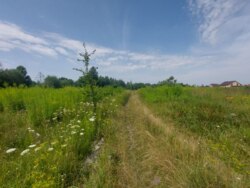      ', ' ' (26104563)  3