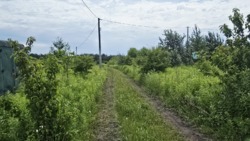 Продаж ділянки з виходом до лісу, Смоківка фото 5 Продаж ділянки з виходом до лісу, Смоківка фото 5