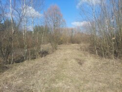   ., 25    (26141862)  6