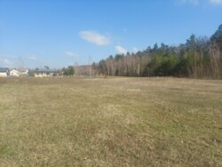 Ділянка 30 соток в с.Садки біля лісу (26140269) фото 9 Ділянка 30 соток в с.Садки біля лісу (26140269) фото 9