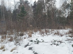 Продається ділянка Житомирська, Житомирський, Новогуйвинське, 'Любава' фото 6 Продається ділянка Житомирська, Житомирський, Новогуйвинське, 'Любава' фото 6