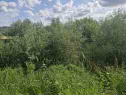 ��������� ������ ��糿���, ���������������, ����������� ���� 5