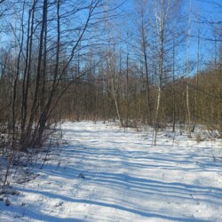 Продаж ділянки 12 соток в Оліївці (26140433) фото 5 Продаж ділянки 12 соток в Оліївці (26140433) фото 5