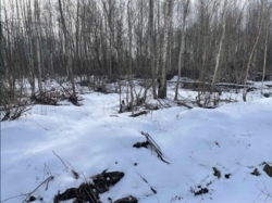 Продається ділянка Незалежності, Пряжів, Житомирський, Житомирська фото 4 Продається ділянка Незалежності, Пряжів, Житомирський, Житомирська фото 4