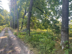 ��������� ������ �����������, ������������, ������ ���� 5