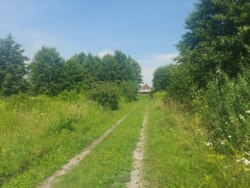 Ділянка 18 соток с.Оліївка фото 6 Ділянка 18 соток с.Оліївка фото 6