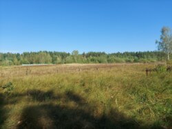 Ділянка 15 сот. с.Дениші фото 4 Ділянка 15 сот. с.Дениші фото 4