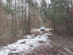 Продається ділянка Житомирська, Житомирський, Новогуйвинське, 'Любава' фото 3 Продається ділянка Житомирська, Житомирський, Новогуйвинське, 'Любава' фото 3