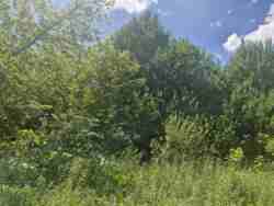 Фасадна ділянка на Вересівський Шлях фото 4 Фасадна ділянка на Вересівський Шлях фото 4