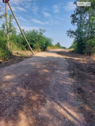 ��������� ������ ����������, ������������, ����������� ���� 7