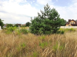 Тетеріка, 10 соток з боку річки (26111430) фото 2 Тетеріка, 10 соток з боку річки (26111430) фото 2