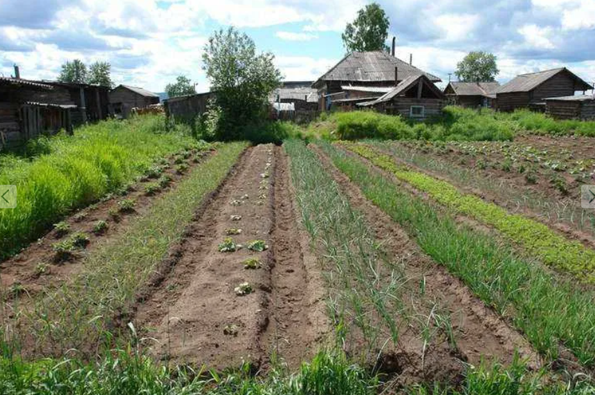 Продам земельної ділянки в межах міста (провулок Хінчанський). фото 1 Продам земельної ділянки в межах міста (провулок Хінчанський). фото 1