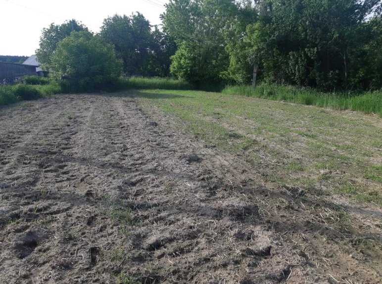 Продаж ділянки с.Левків фото 1 Продаж ділянки с.Левків фото 1
