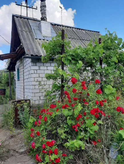 Земельна дiлянка 5 соток з садовим будинком 10 000 $ фото 1 Земельна дiлянка 5 соток з садовим будинком 10 000 $ фото 1