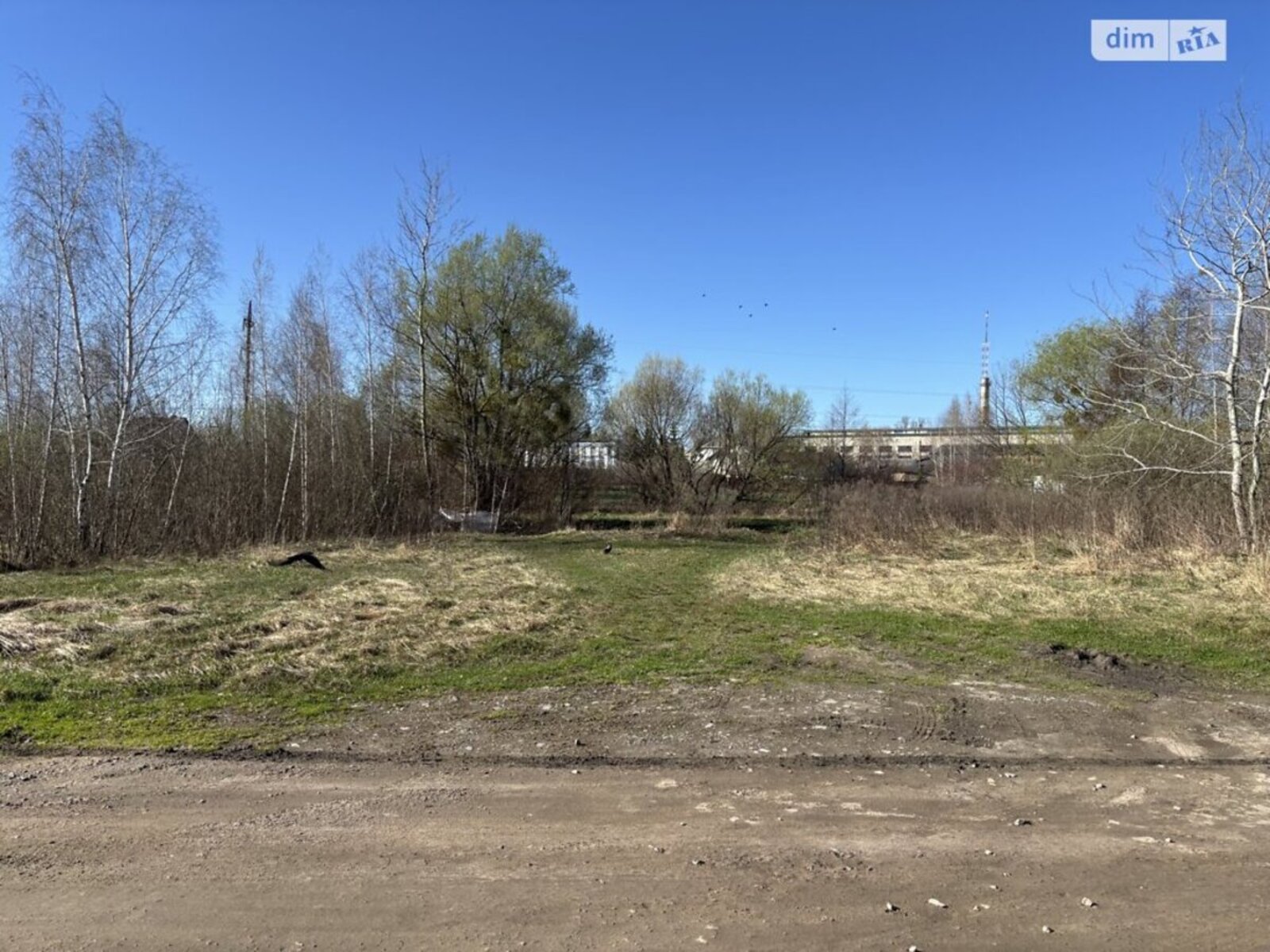 ������ ������ � ��� ���� 1