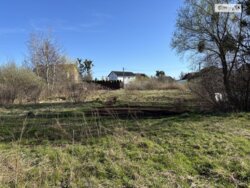 ������ ������ � ��� ���� 7