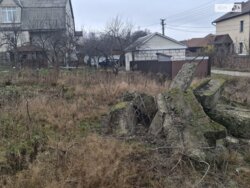 ������ �������� ������ �� ������� �������� �� ���. �������� ���� ���� 8