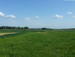 Продаж земельної ділянки під житлову забудову, площа 40 соток Гадзинка фото 1 Продаж земельної ділянки під житлову забудову, площа 40 соток Гадзинка фото 1