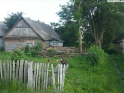 Продаж земельної ділянки під житлову забудову, площа 40 соток Гадзинка фото 4 Продаж земельної ділянки під житлову забудову, площа 40 соток Гадзинка фото 4