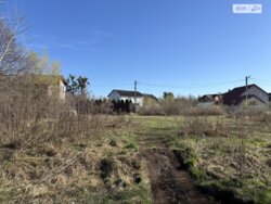 ������ ������ � ��� ���� 6