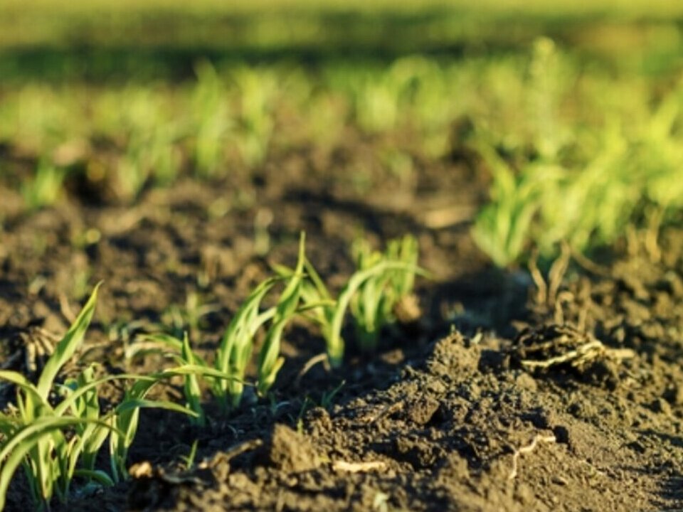 ������ �������� ������ ��������������������� �����������, ����� 4 ����� ���� 1