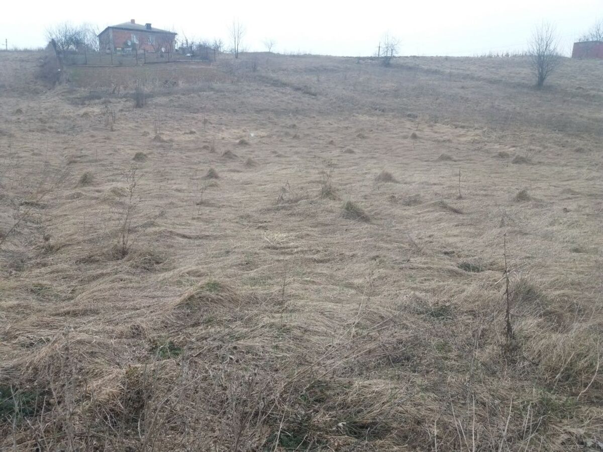 ��������� ������ ������, �����������, ³������� ���� 1