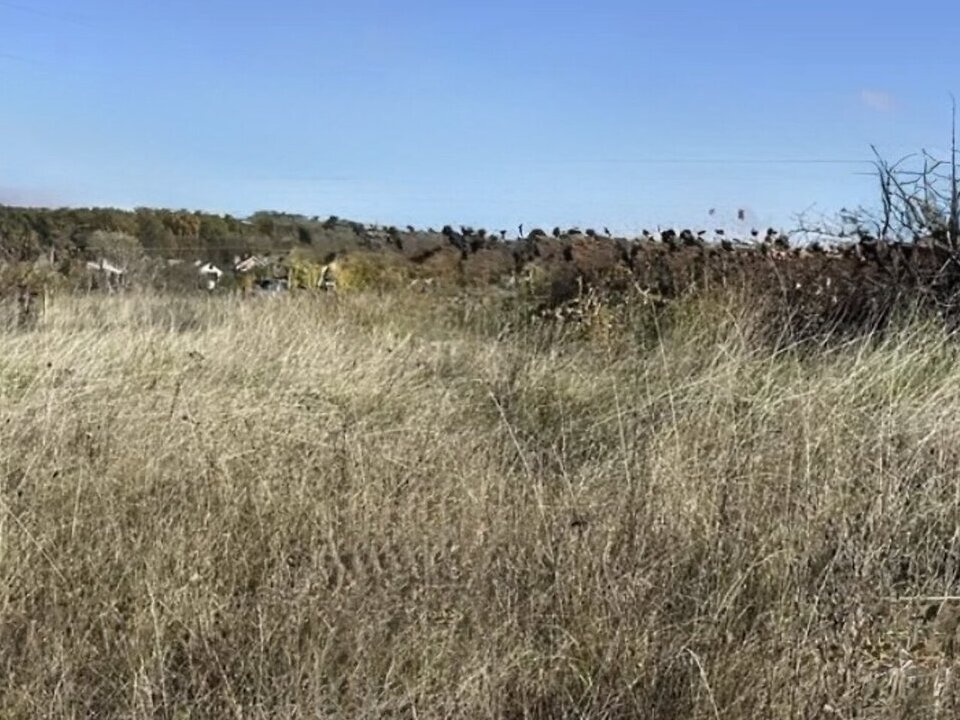 ������ �������� ������ �� ������� �������� �� ���. ���������, ����� 10 ����� ���� 1
