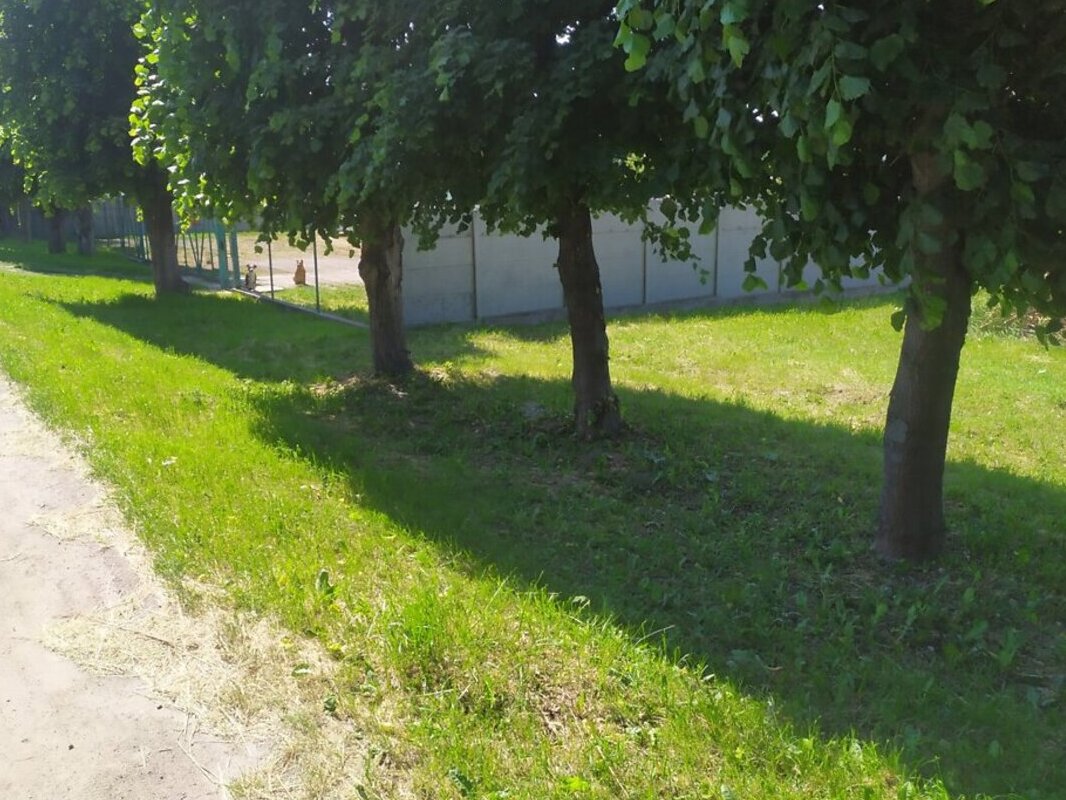 ������ �������� ������ ������������ ����������� �� ���. ����������, ����� 5 ����� ���� 1