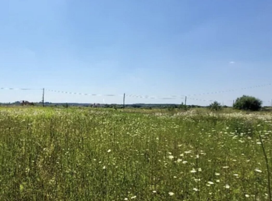 Продаж земельної ділянки під житлову забудову, площа 15 соток, Гавришівка фото 1 Продаж земельної ділянки під житлову забудову, площа 15 соток, Гавришівка фото 1