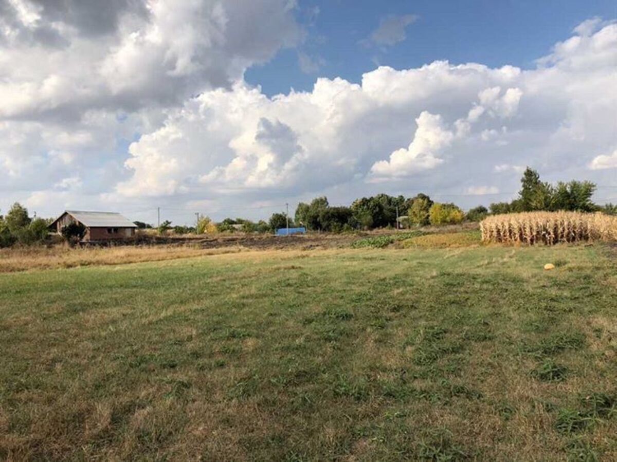 ��������� ������ ������, �����������, ³������� ���� 1