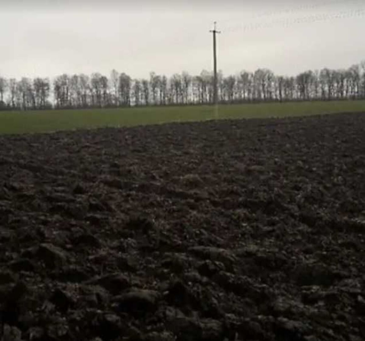 ��������� ������ ³�����, ³�������, �������������, ���������� ���� ���� 1